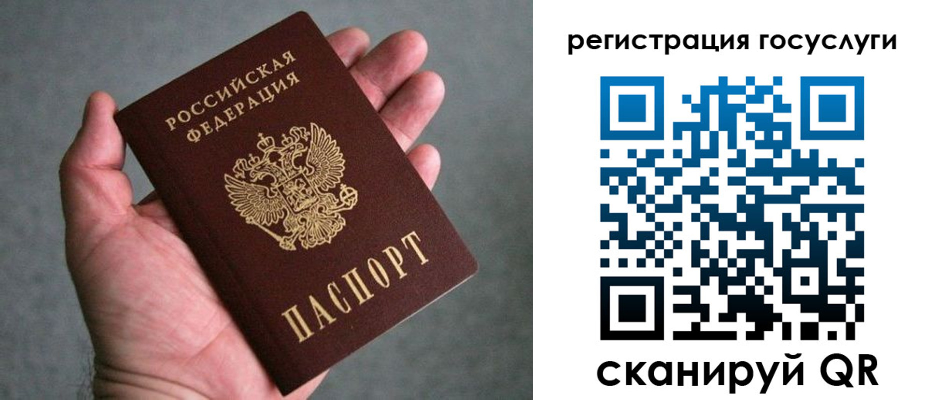 прописка поиск в Красном Куте